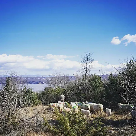 Appartamento Jadranka